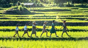 Read more about the article Are the Boy Scouts Still Relevant and Worthwhile Today?