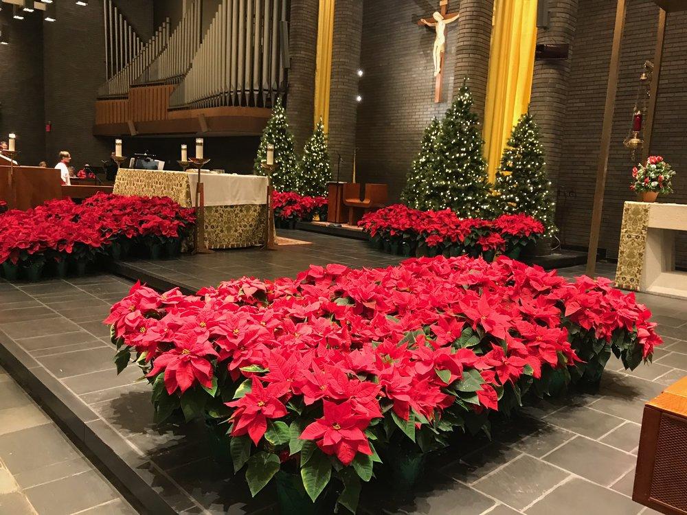 11 Volunteer Ideas to Bring Joy to You & Others this Holiday Season 10