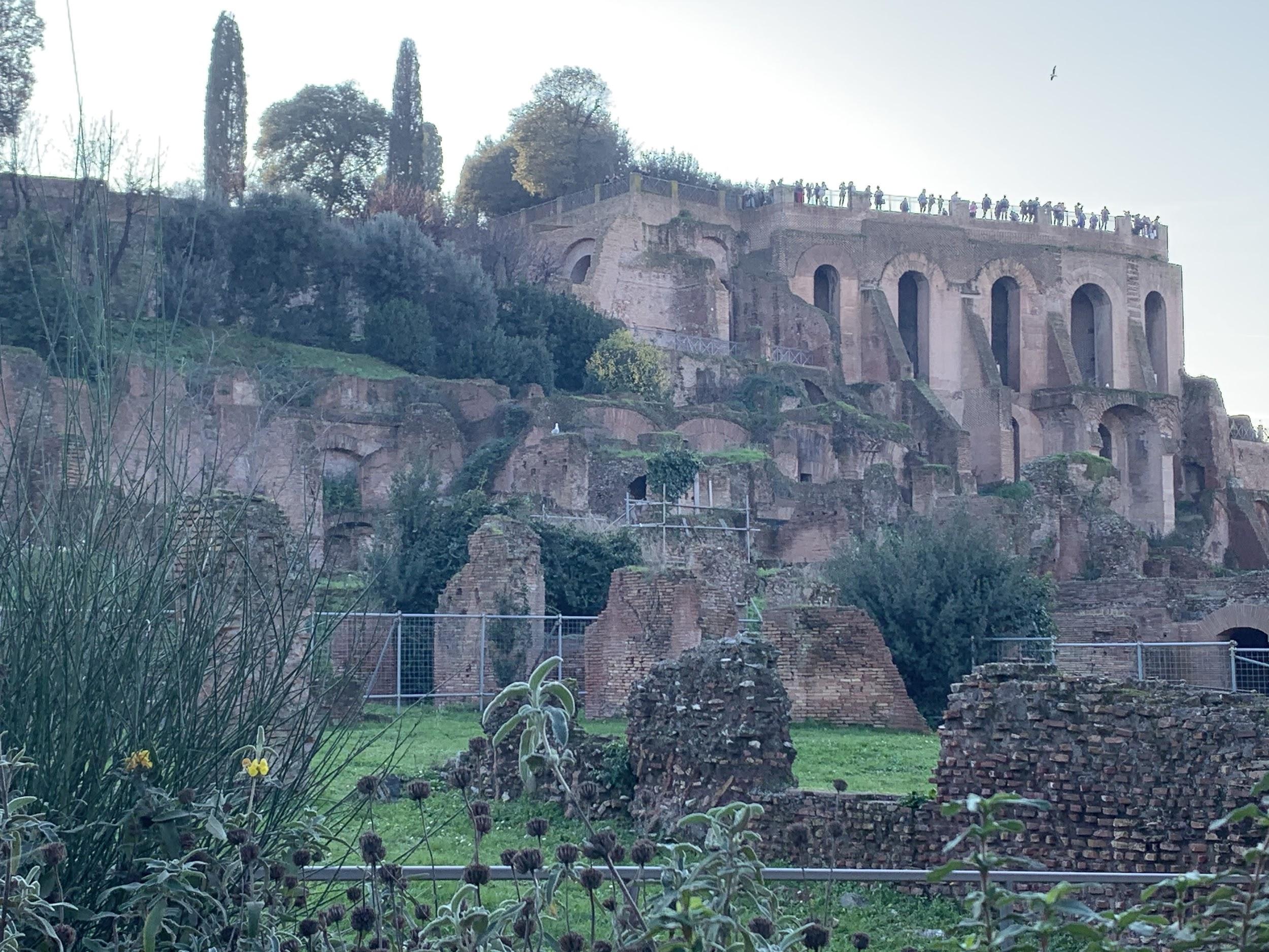 view-of-palantine-hill-from-forum