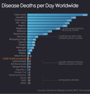 Coronavirus Timeline + What is the Coronavirus? 59