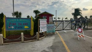 Coronavirus Timeline + What is the Coronavirus? 20