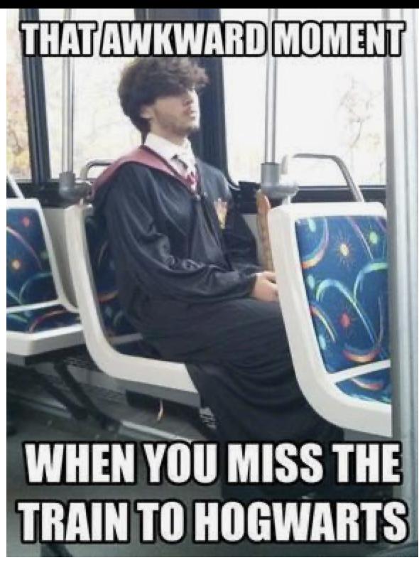 30 Hilarious Harry Potter Memes To Celebrate The 20-Year