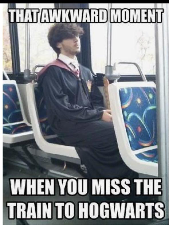 cd4230b20c8aa418a4b0cd622f8e652c–funny-harry-potter-memes-harry