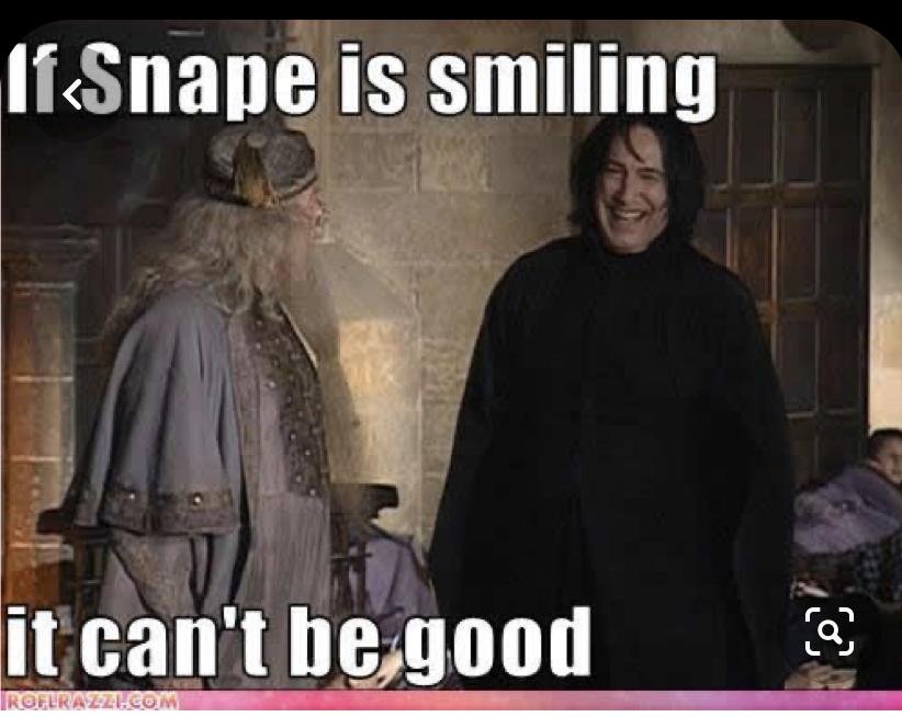 30 Harry Potter Memes - ok so they are 8 years late... 469