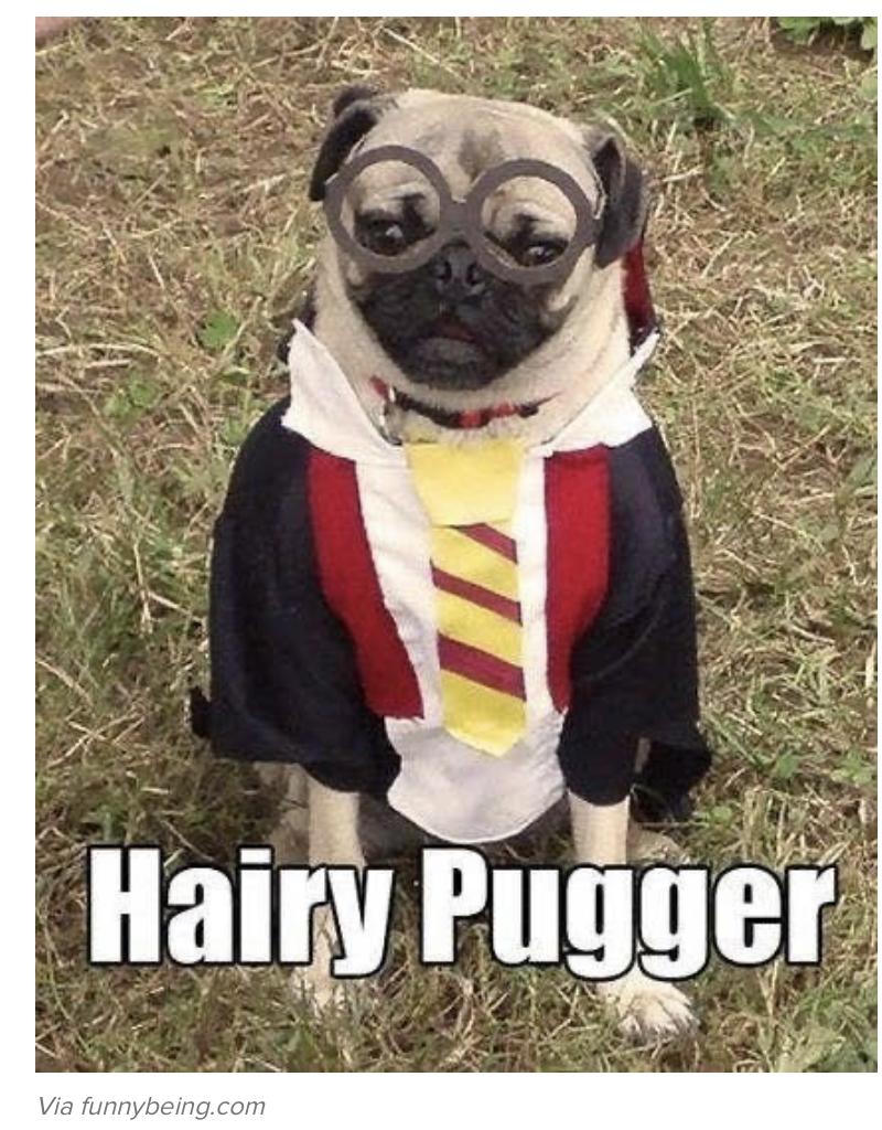 30 Harry Potter Memes - ok so they are 8 years late... 465