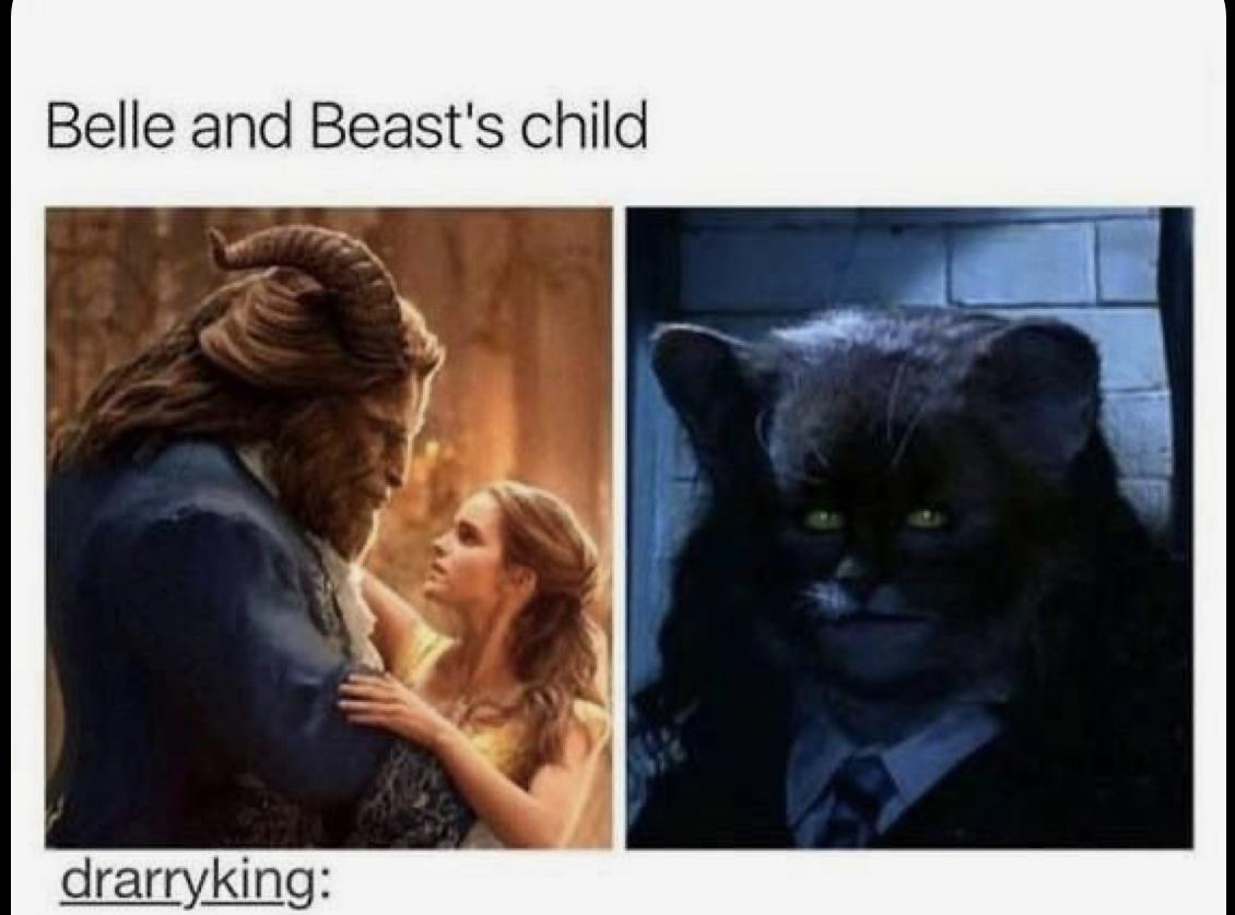 30 Harry Potter Memes - ok so they are 8 years late... 481