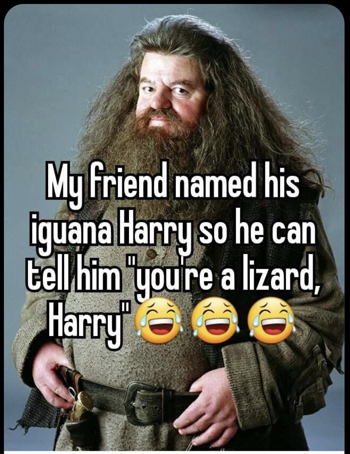 30 Hilarious Harry Potter Memes To Celebrate The 20-Year