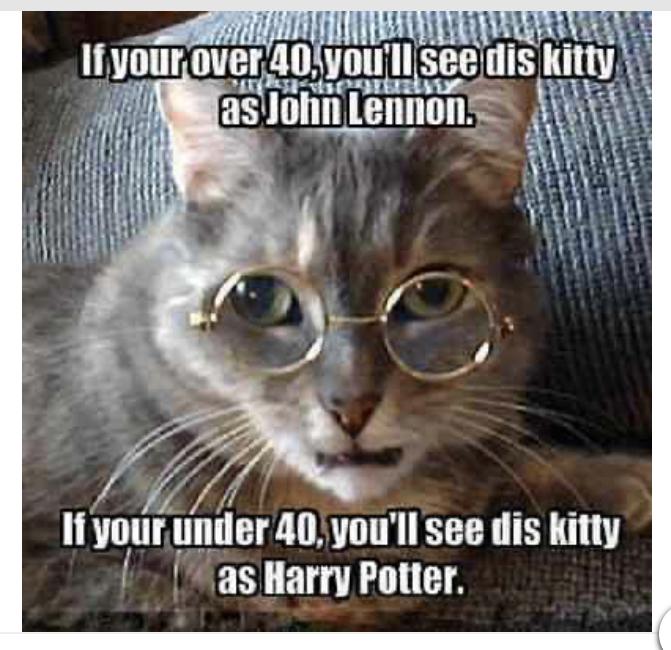 30 Harry Potter Memes - ok so they are 8 years late... 487