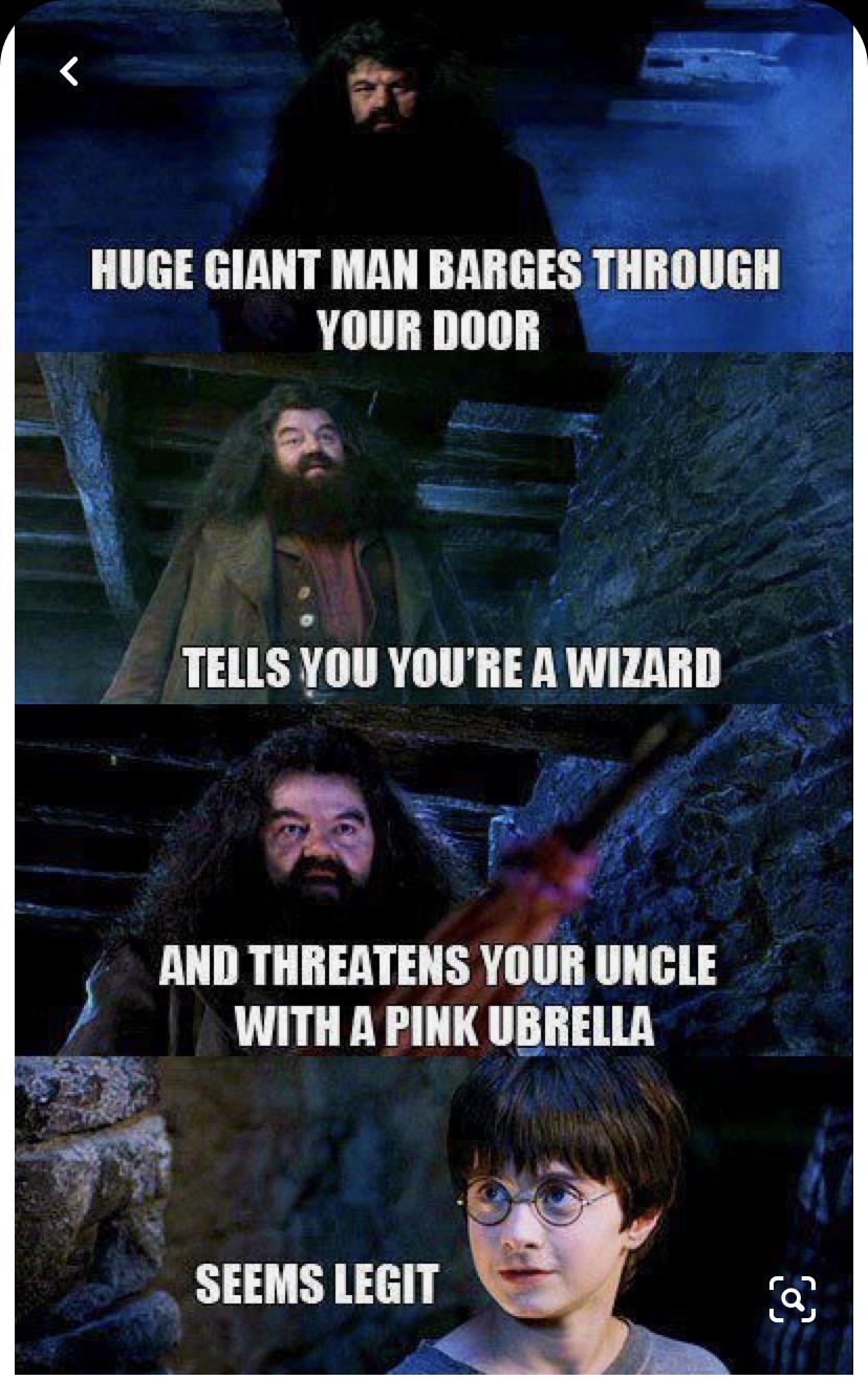 30 Harry Potter Memes - ok so they are 8 years late... 490