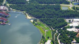 Disney News June 2020 32