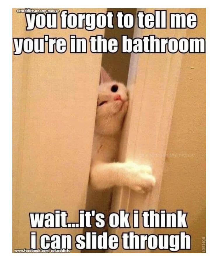 31 More Hilarious Parenting and Marriage Memes 25