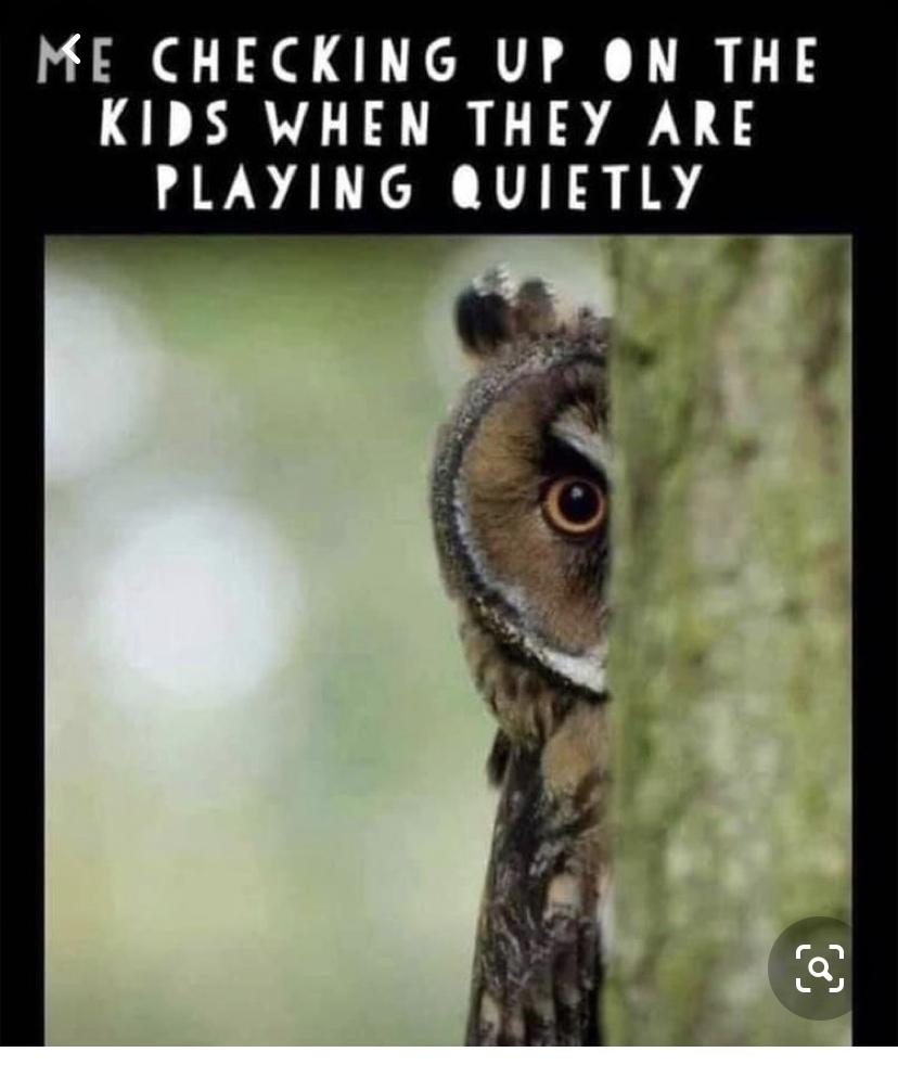 31 More Hilarious Parenting and Marriage Memes 8