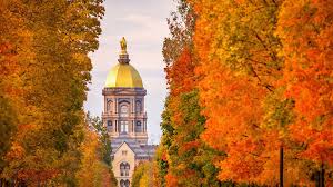 Live One Good Life! 1