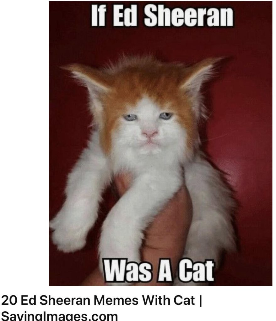 25 More Funny Clean Memes Live One Good Life