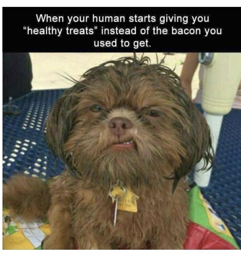 40 Funniest Clean Memes Find funny Clean Memes On TikTok IRYZ