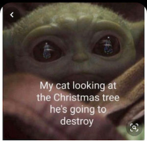19 Adorable Baby Yoda Memes for Christmas 2020 7