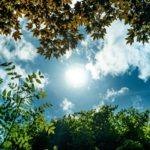 protect-against-the-flu-and-covid