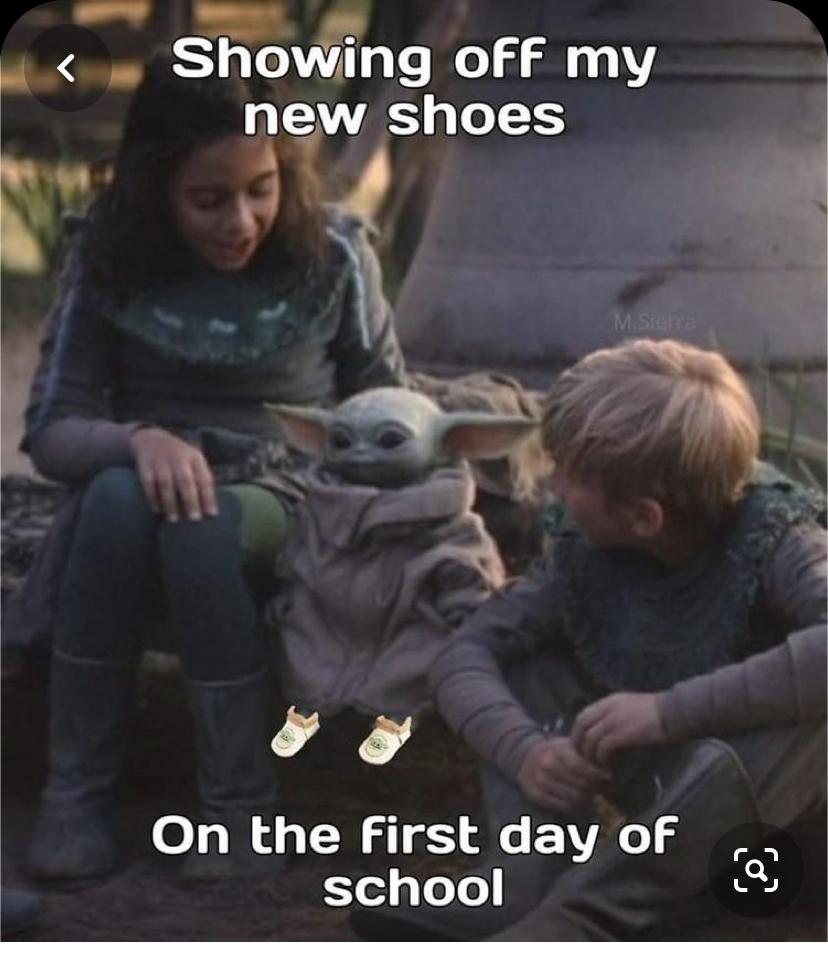 50 Final Baby Yoda Memes Season 1 6