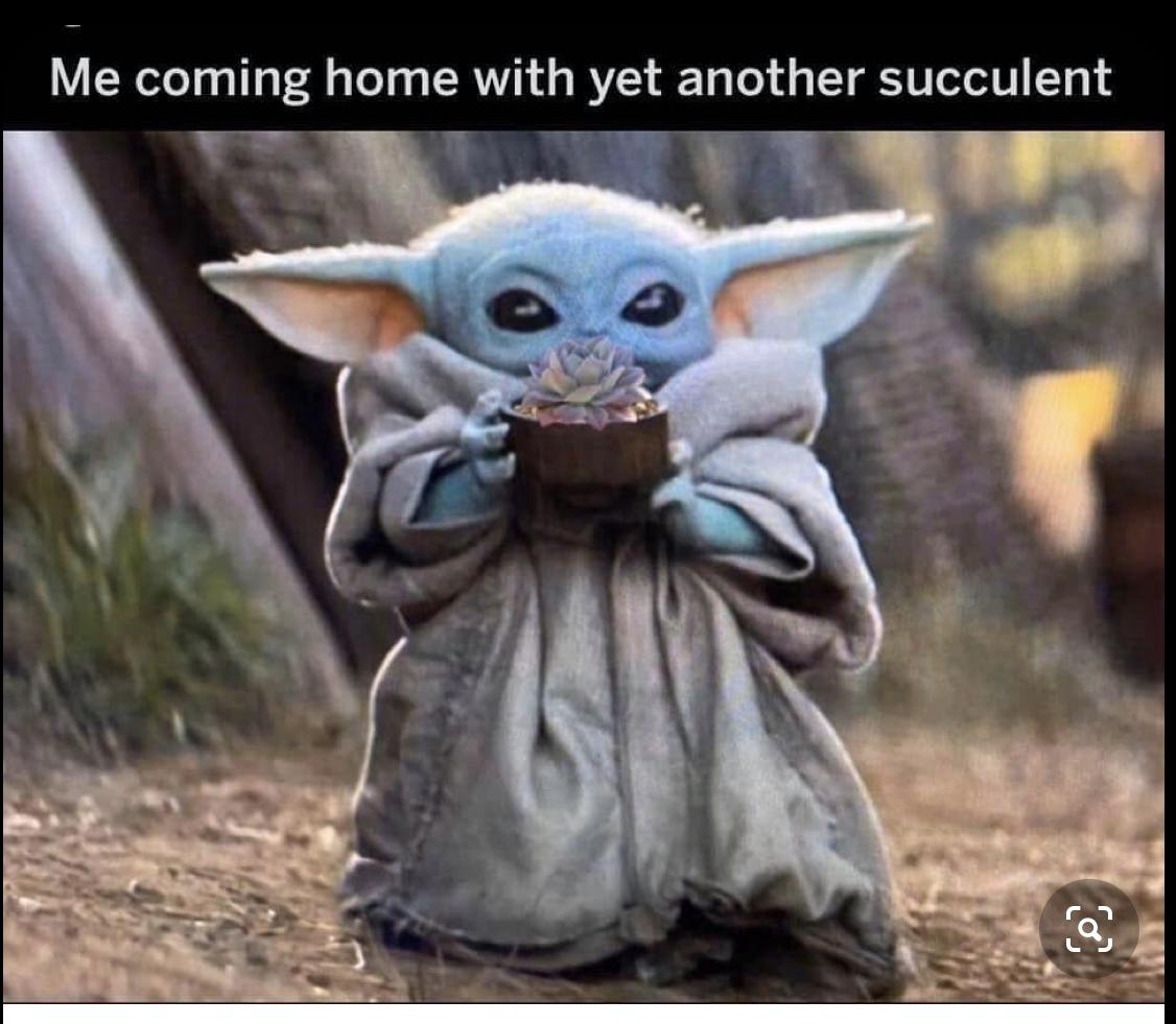 50 Final Baby Yoda Memes Season 1 27