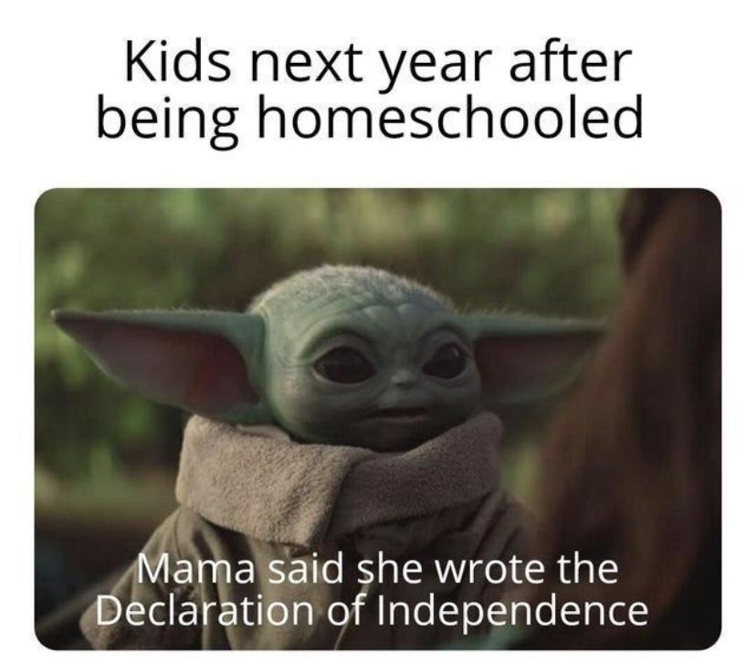 27 COVID Baby Yoda Memes 17