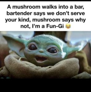 50 Final Baby Yoda Memes Season 1 39
