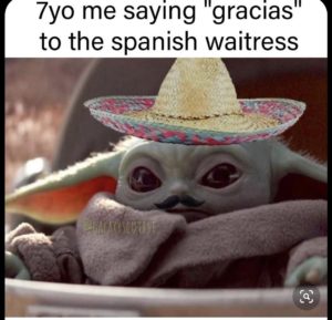 50 Final Baby Yoda Memes Season 1 45