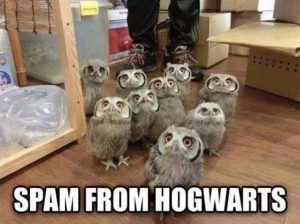 30 Harry Potter Memes - ok so they are 8 years late... 466