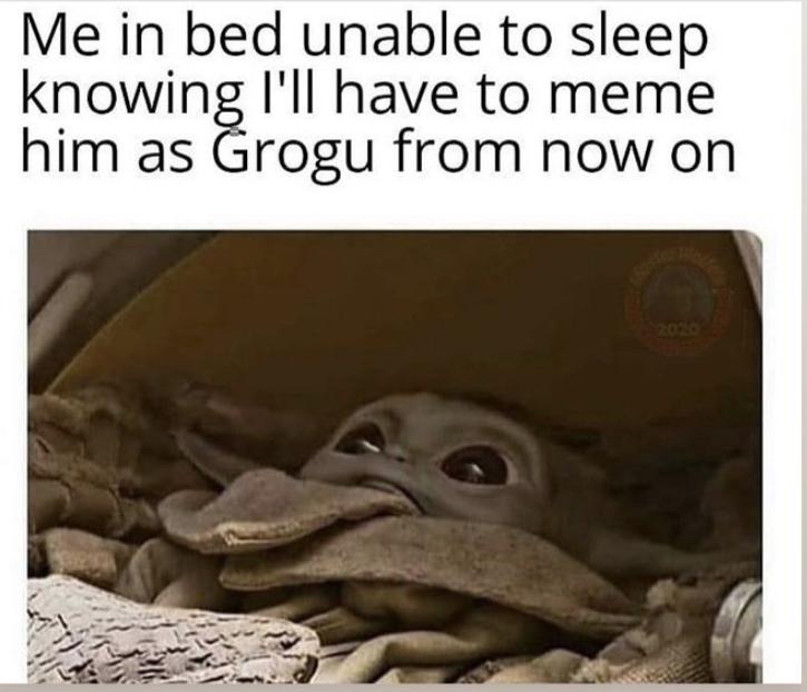 30 Funny Grogu Memes aka Baby Yoda Memes 543