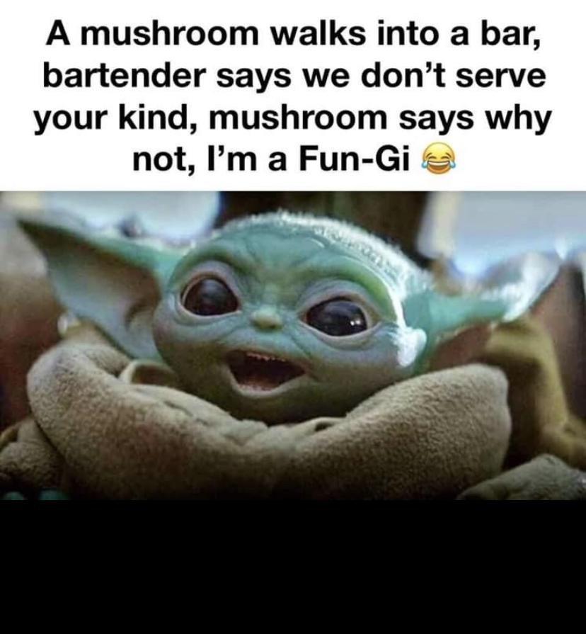 Season 2 Grogu Memes Funny and Clean 11