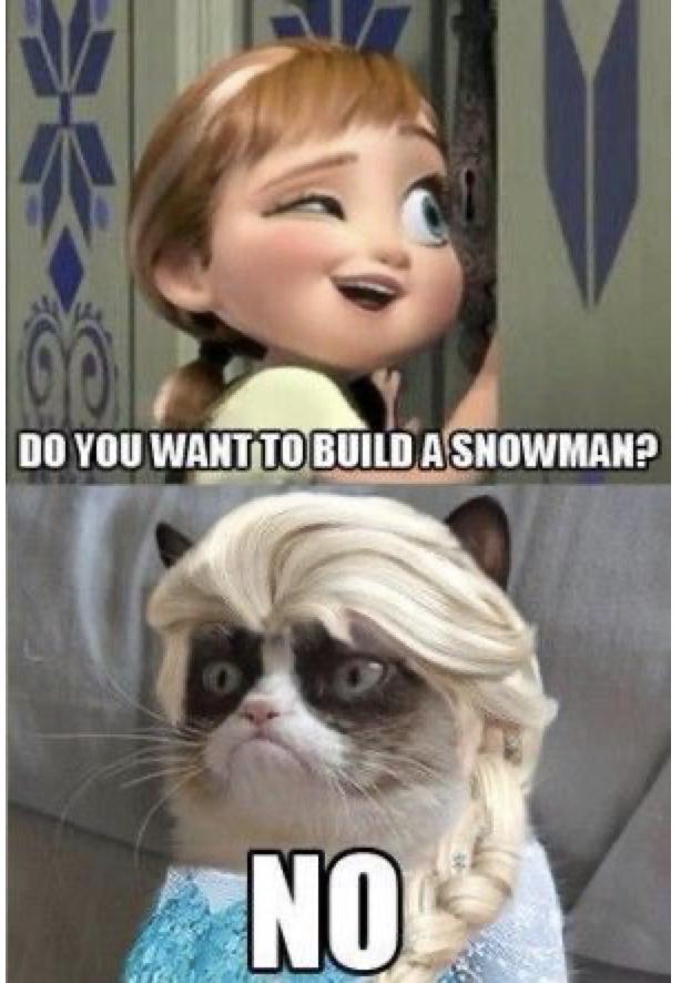 25 Funny Cat Memes 12