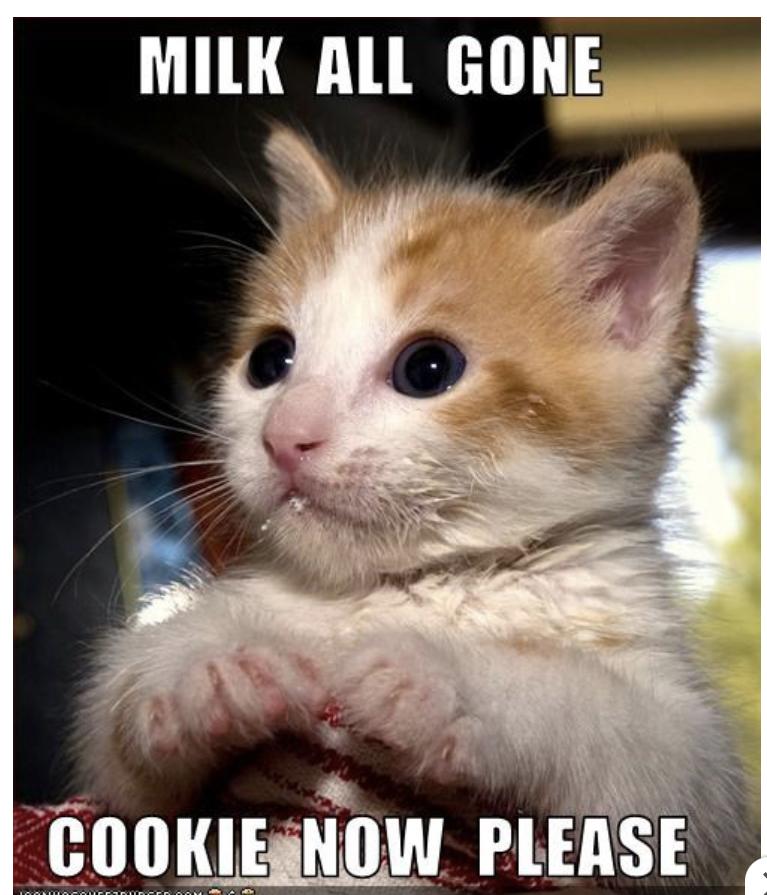 25 Funny Cat Memes 376