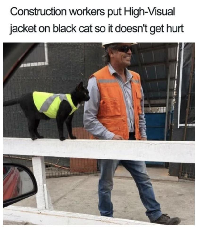 25 Funny Cat Memes 28