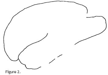 The Creation of Adam by Michelangelo - 11 Interesting Facts and Images of the Magnificent Painting 8