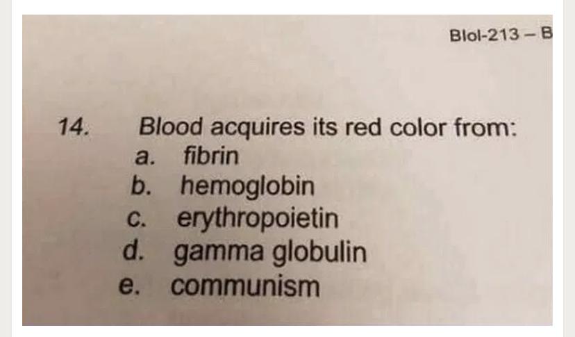 Funny Clean Memes 2021 15