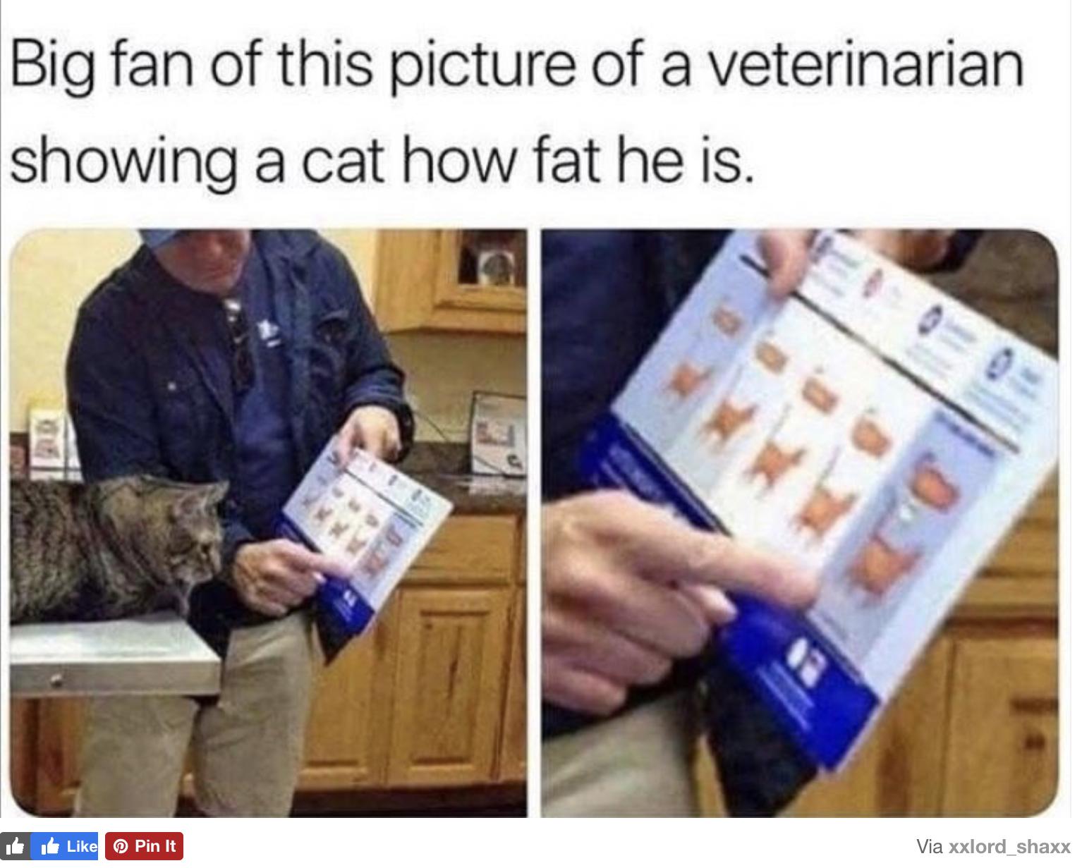 Funny Clean Memes 2021 9