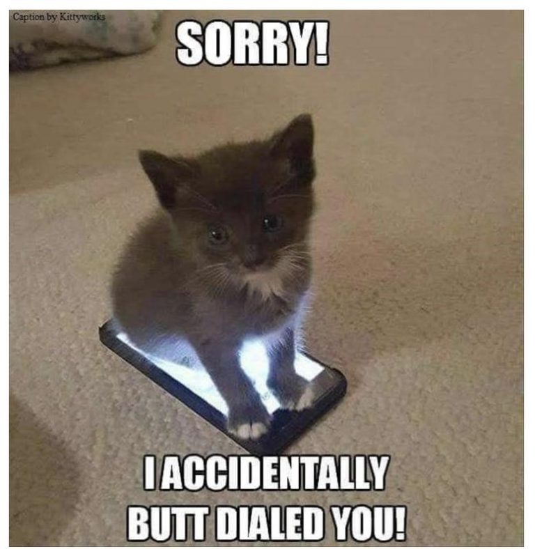 30 Clean Funny Animal Memes 2021 Live One Good Life