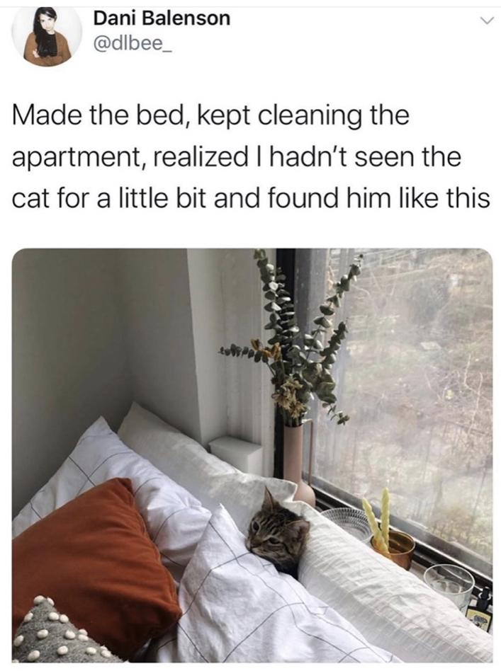 30 Clean Funny Animal Memes 2021 15