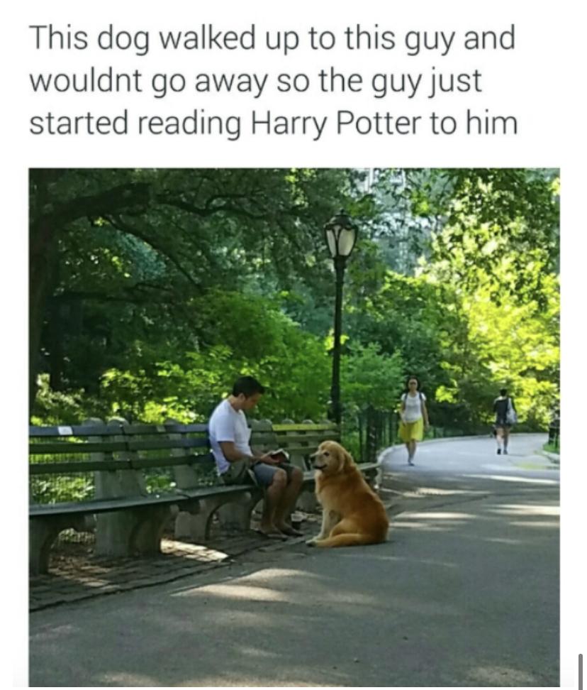 30 Clean Funny Animal Memes 2021 17
