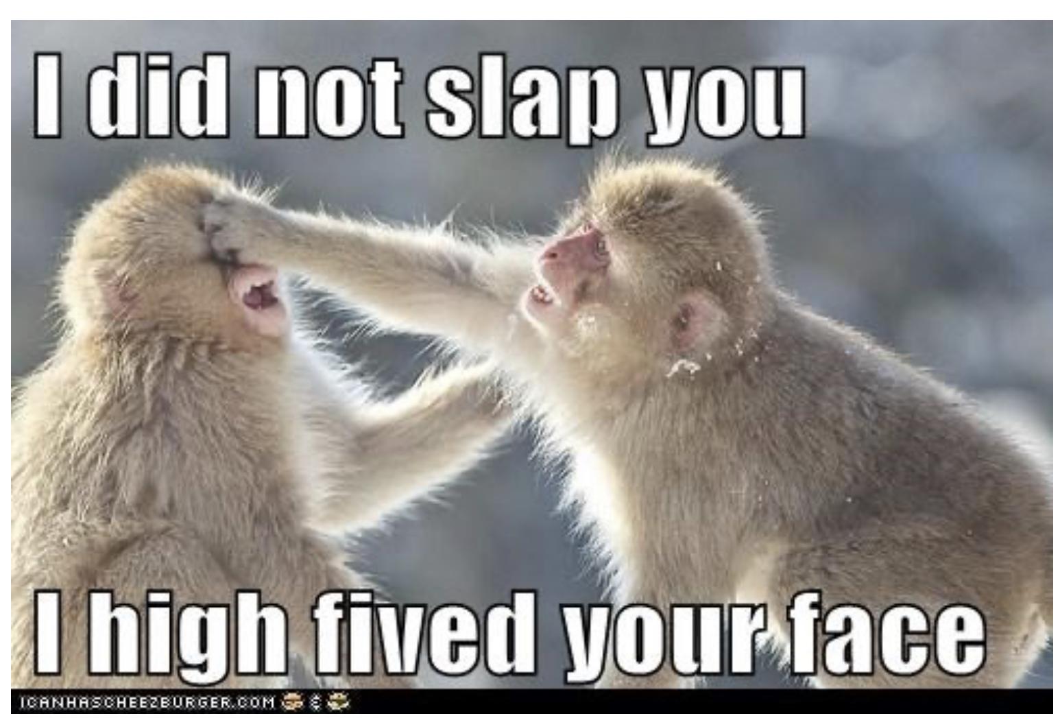 30 Clean Funny Animal Memes 2021 - Live One Good Life 30 Clean Funny Animal Memes 2021 - Live One Good Life