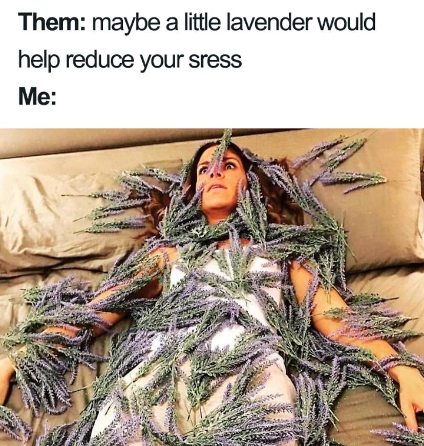 Funny Memes About Life 2021 1