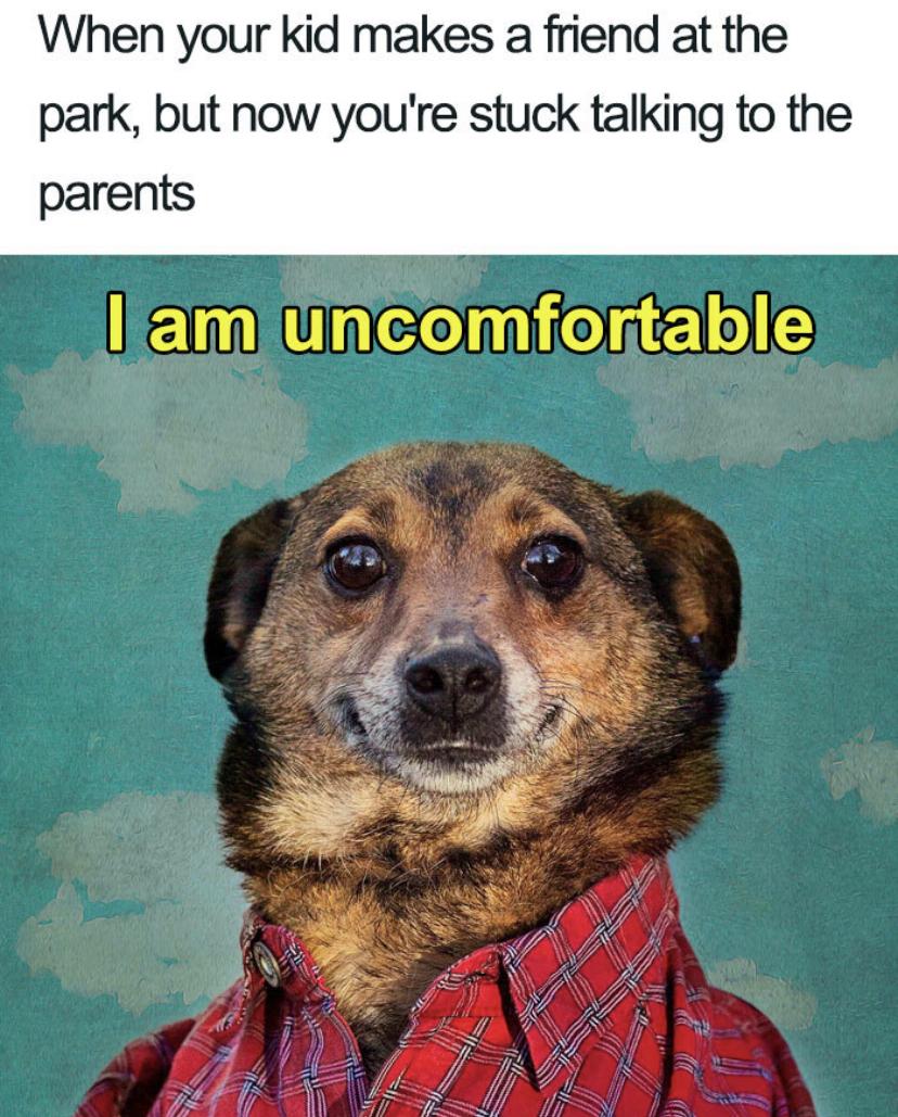 Funny Memes About Life 2021 23