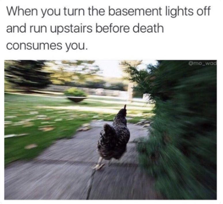 Funny Memes About Life 2021 17