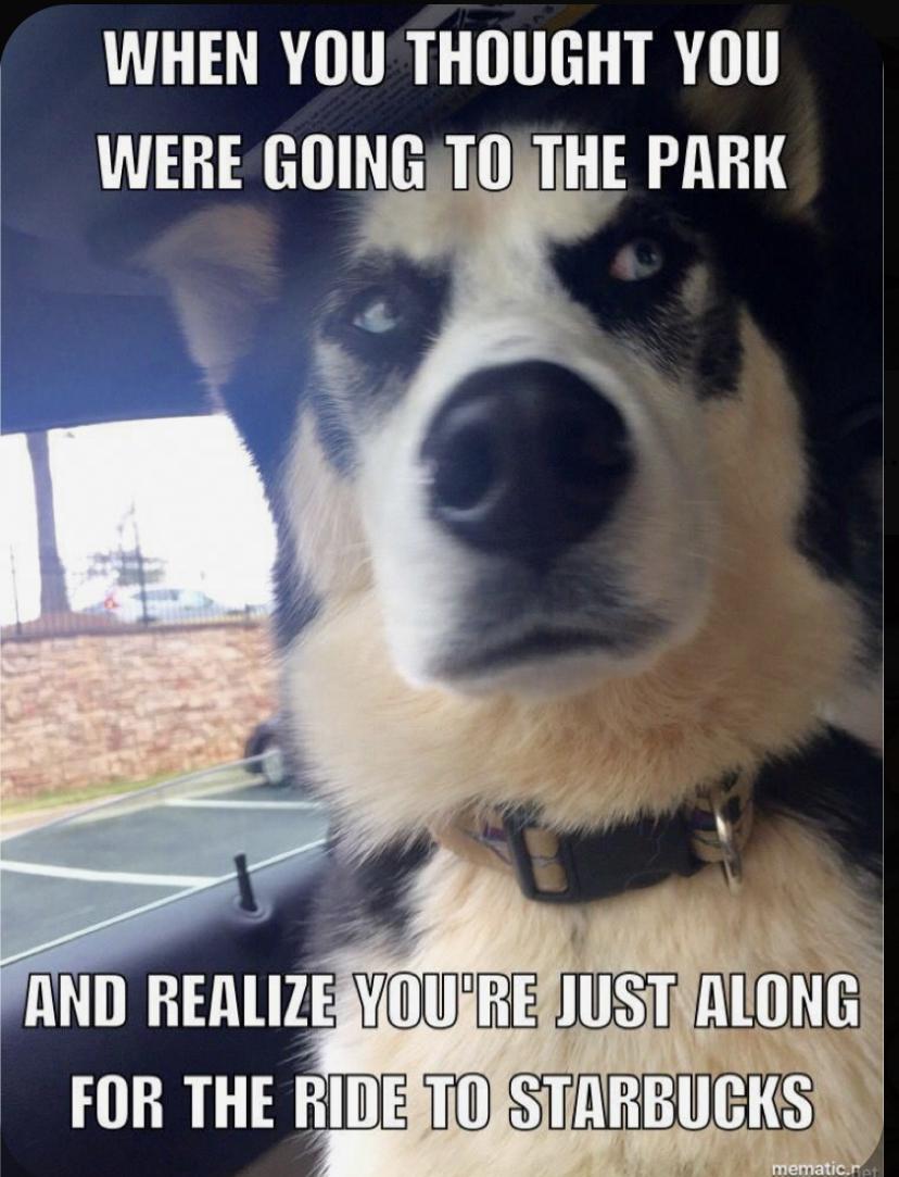 30 Clean Funny Animal Memes 2021 9