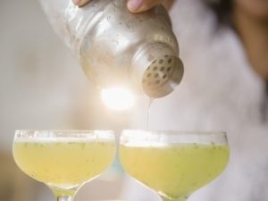 Awesome Elderflower Margarita Recipe 27