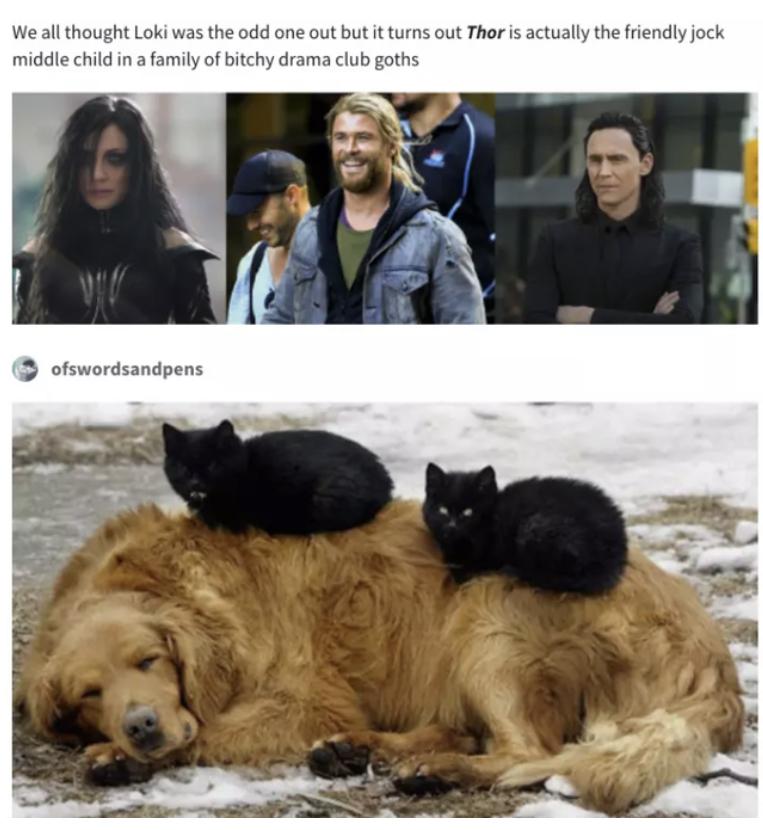 30 Funny Marvel Memes 22