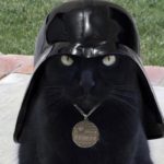 funny Star Wars memes