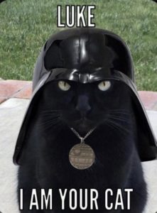 25 Funny Star Wars Memes