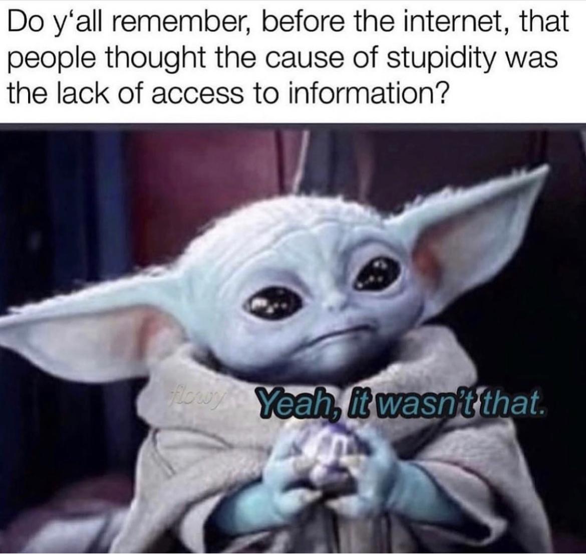 Funny Baby Yoda Memes 2022 25