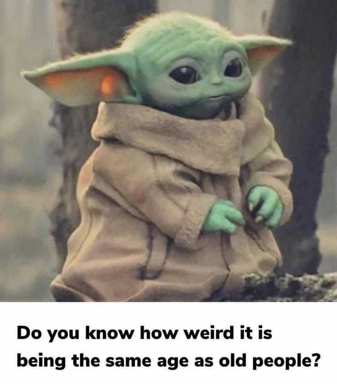 Funny Baby Yoda Memes 2022 28
