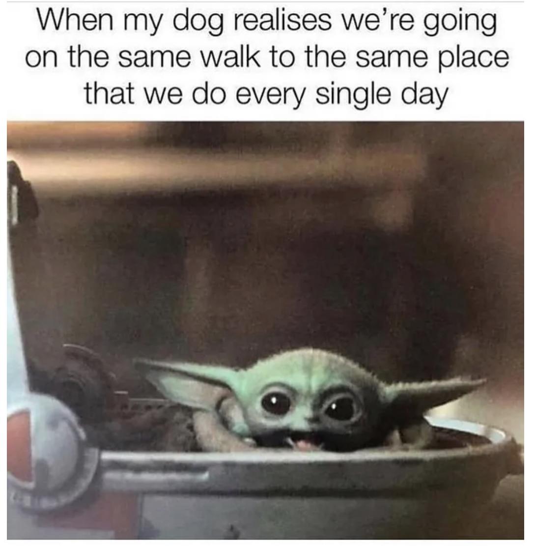 Funny Baby Yoda Memes 2022 8